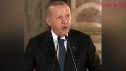 Predsednik Erdoğan: Umetniki, ki so svojo politično plat vlili v polemike, so nas razburjali
