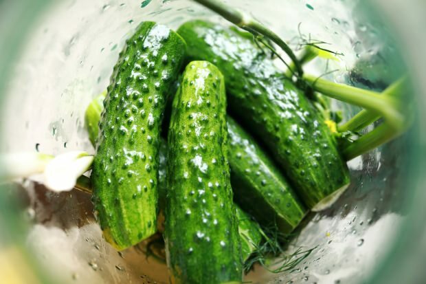 Kako narediti kumarice iz kumaric doma? Triki kislega