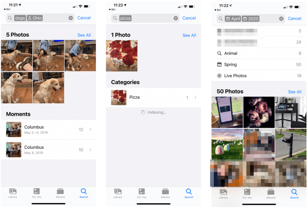 Kako iskati predmete v fotografijah v iPhonu in iPadu