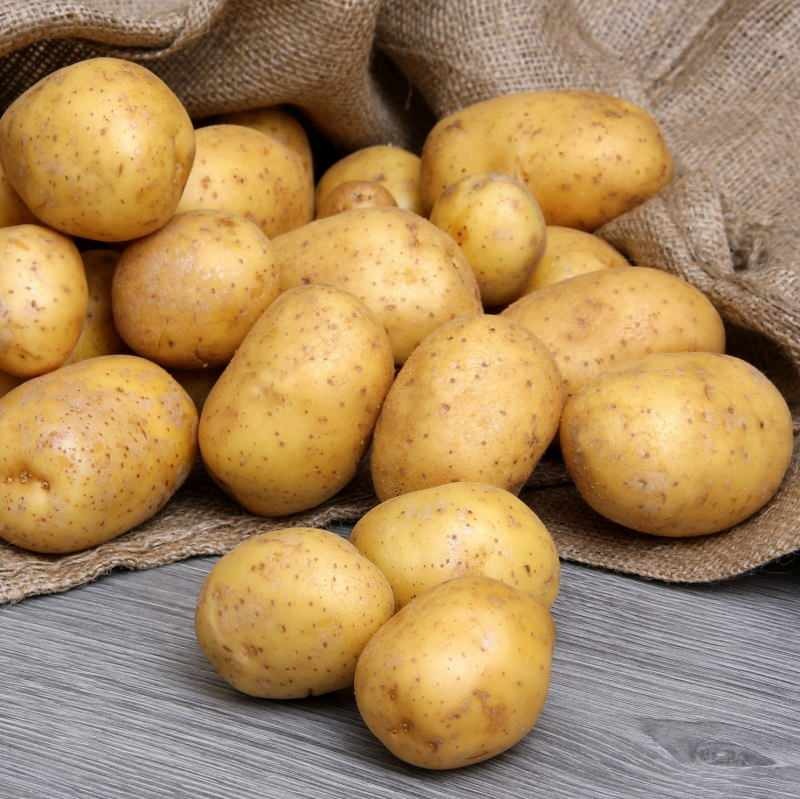 Kakšna je razlika med jedilnim in ocvrtim krompirjem