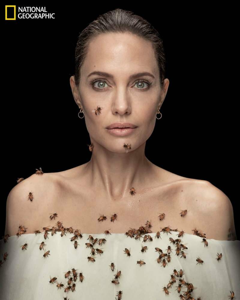 Angelina Jolie v objektivu s čebelami za čebele!