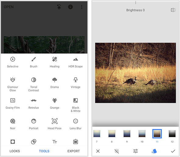 Meni Snapseed na levi strani prikazuje 20 različnih orodij, primer filtra Snapseed na desni pa a fotografija dveh divjih puranov, ki se sprehajata v zlati travi, in meni filtrov na dnu mobilnega zaslona.