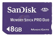 Pomnilniška kartica Dandisk 8GB