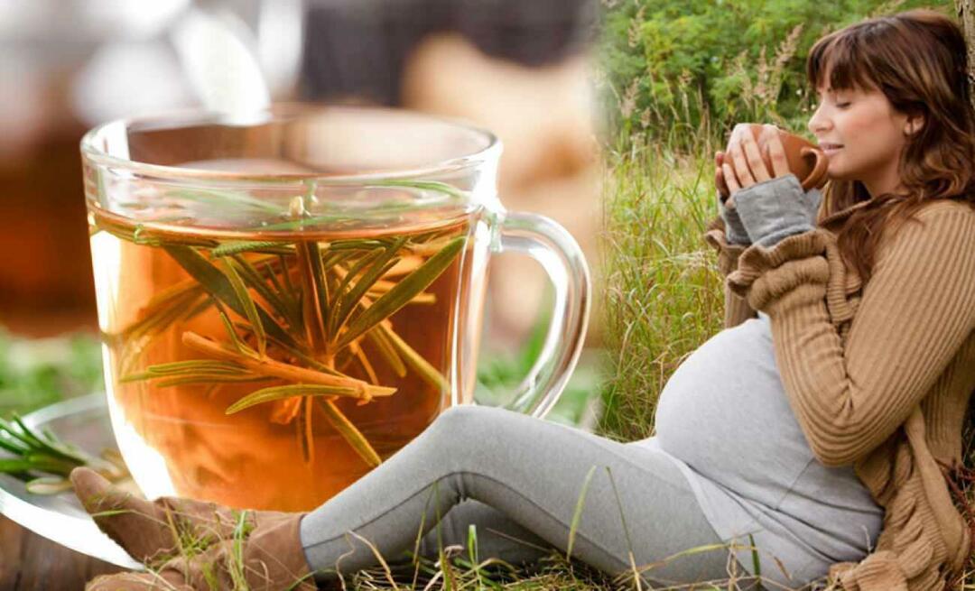 Ali lahko nosečnice pijejo zimski čaj? Kateri čaj je treba piti med nosečnostjo? zimski čaji za nosečnice