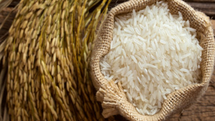 Kako se najbolje razume riž? 