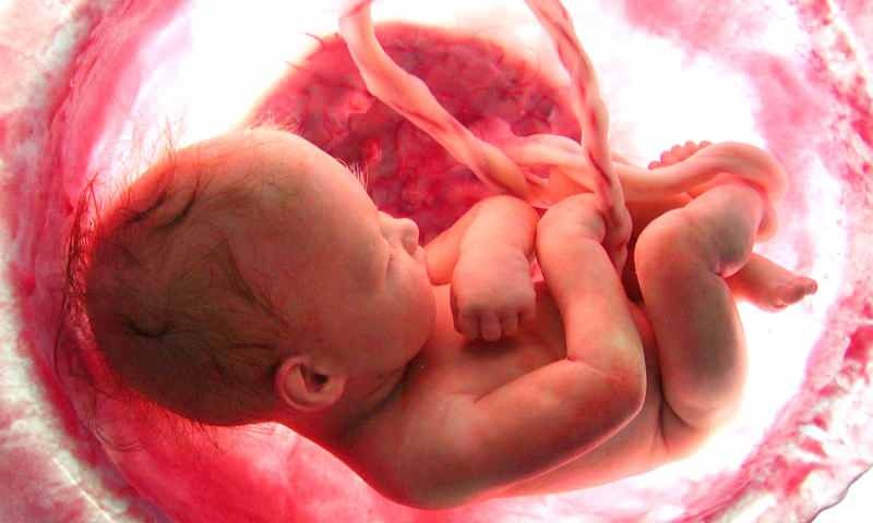 Rojstvo otroka v maternici