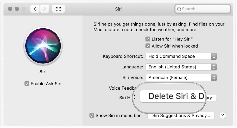 Izbriši zgodovino Siri na Macu