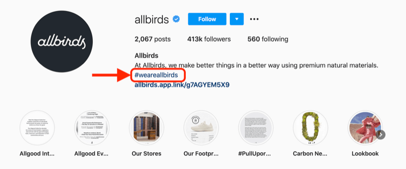 primer hashtaga podjetja, vključenega v opis profila profila @allbirds instagram