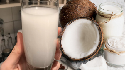 Kaj počne kokosova voda? Kakšne so prednosti kokosa?