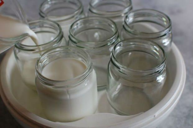 jogurt iz vaškega mleka