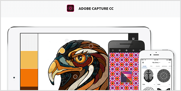 Adobe Capture ustvari paleto iz slike, ki jo posnamete z mobilno napravo. Spletno mesto prikazuje ilustracijo ptice in paleto, ustvarjeno iz ilustracije, ki vključuje svetlo sivo, rumeno, oranžno in rdečkasto rjavo.
