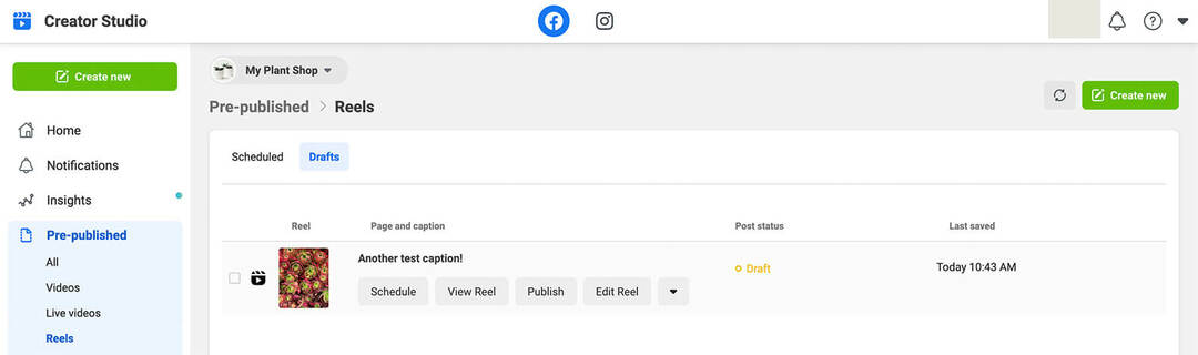 how-to-make-schedule-push-facebook-reels-creator-studio-create-efficient-approval-workflow-my-plant-shop-step-19