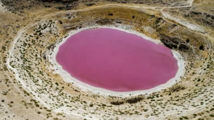 Barva jezera Meyil Obruk je postala rožnata!