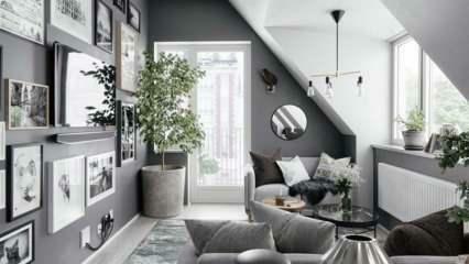 Kako se siva barva uporablja pri dekoraciji doma?