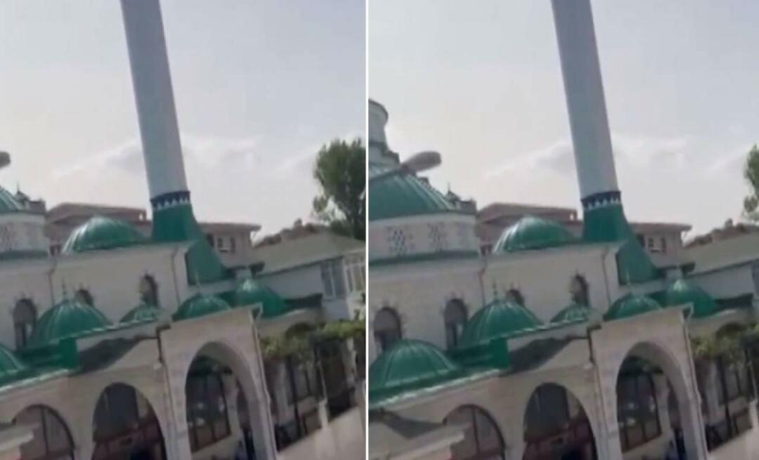 Sporočilo "Maček je žalosten" iz mošeje je postalo viralno! Tisti trenutki, ki vsakogar nasmejijo...