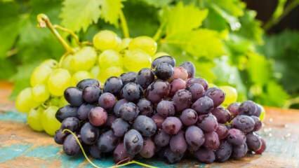 Kaj se zgodi, če na dan pojeste skledo grozdja?