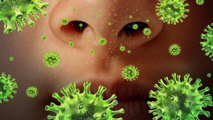 Ponovno nastajanje: kaj je virus Sars in kakšni so njegovi simptomi? Kako se prenaša virus Sars?