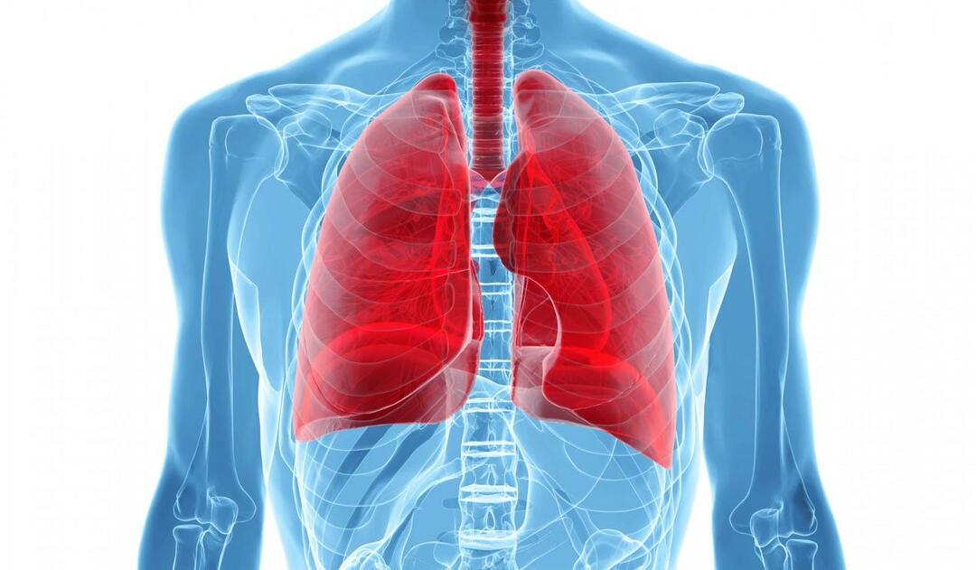 Kaj je sindrom belih pljuč in kakšni so njegovi simptomi? Kakšno je zdravljenje sindroma belih pljuč?