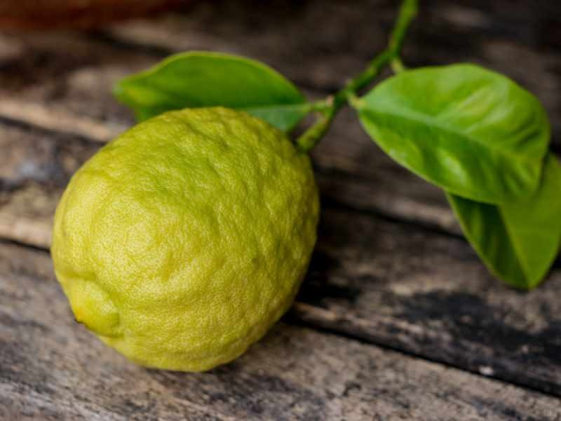 Videz bergamota je podoben limoni