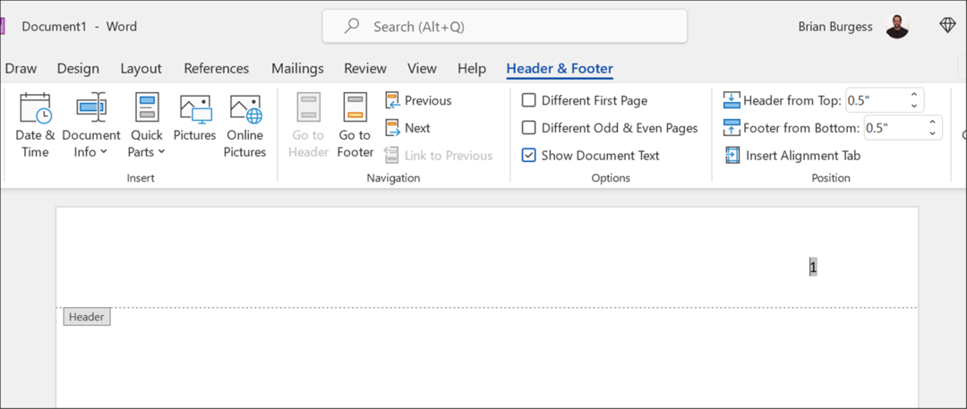 format glave apa slog v microsoft wordu