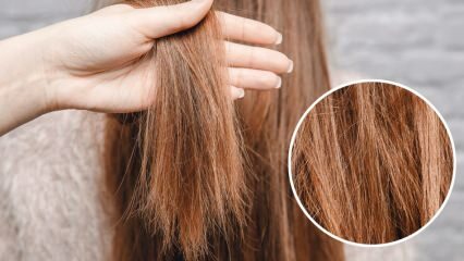 Kaj storiti z lasmi, ki izgorijo iz orje? Kako je treba skrbeti za obdelane lase?