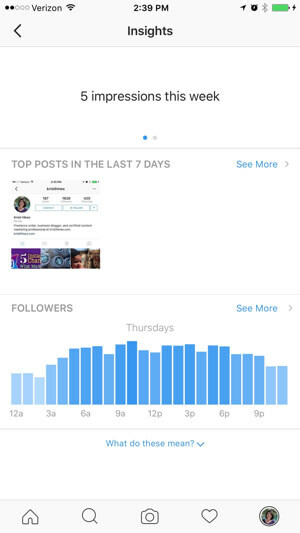 vpogledi v poslovni profil instagrama
