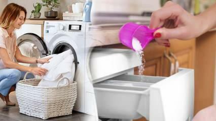 Kateri je najboljši detergent za belo perilo? Priporočila najboljših detergentov za perilo! Najboljši pralni prašek