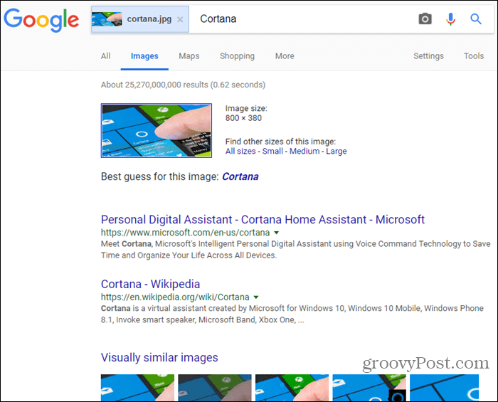 Rezultati iskanja slik v Googlu