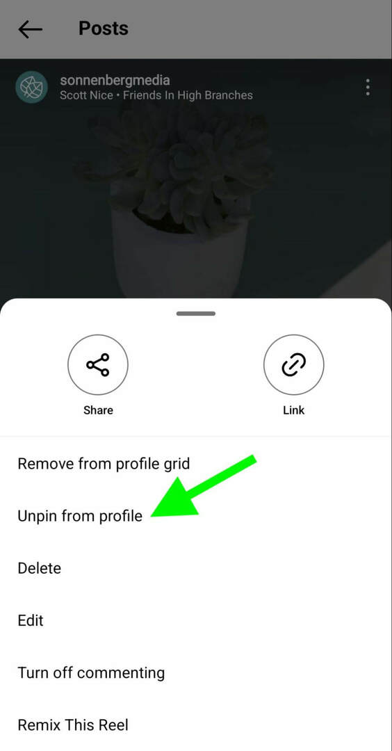 how-to-instagram-odpen-reels-profile-grid-sonnenbergmedia-step-2