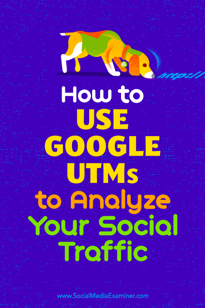 Kako uporabiti Googlove UTM-je za analizo vašega socialnega prometa, avtor Tammy Cannon v programu Social Media Examiner.