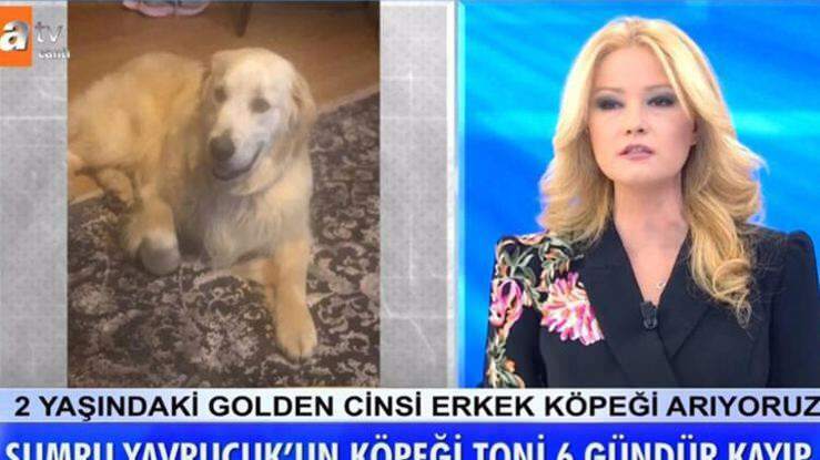 Predstavitelj Müge Anlı je sporočil: Psa igralke Sumru Yavrucuk so našli ...