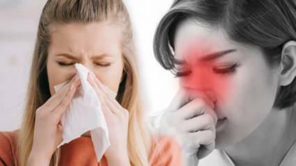 Kaj je alergijski rinitis? Kakšni so simptomi alergijskega rinitisa? Ali obstaja zdravljenje za alergijski rinitis?