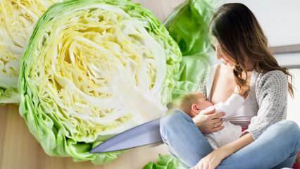 Ali zelje proizvaja plin pri doječi materi in otroku? Ali lahko doječe matere pijejo zeljeni sok? 