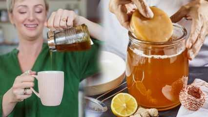 Ali kombucha čaj oslabi? Kako narediti kombučo za hujšanje? Prednosti čaja Kombucha