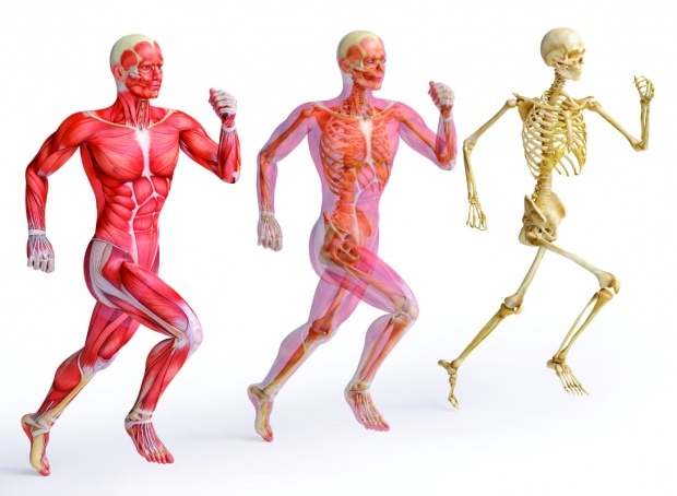 Cink je nujen za močno strukturo mišic in kosti