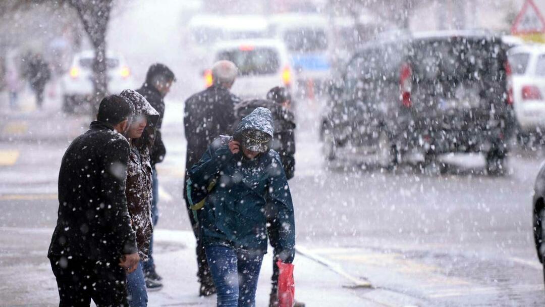 Kaj je zima El Nino? Kdaj bo prišla zima El Nino? Zima 1987 je nazaj!