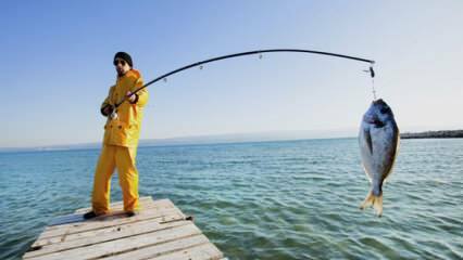 Kako loviti? Kakšni so triki ribolova z ribiško palico?