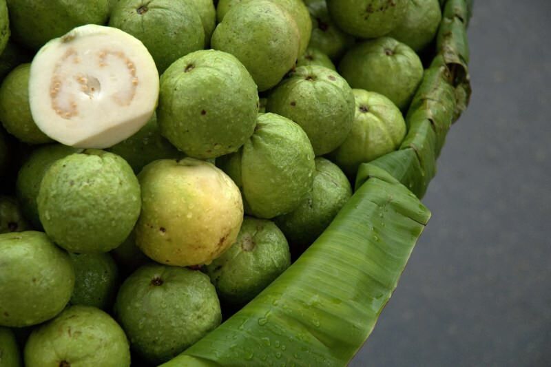 nezrelo sadje guavana 