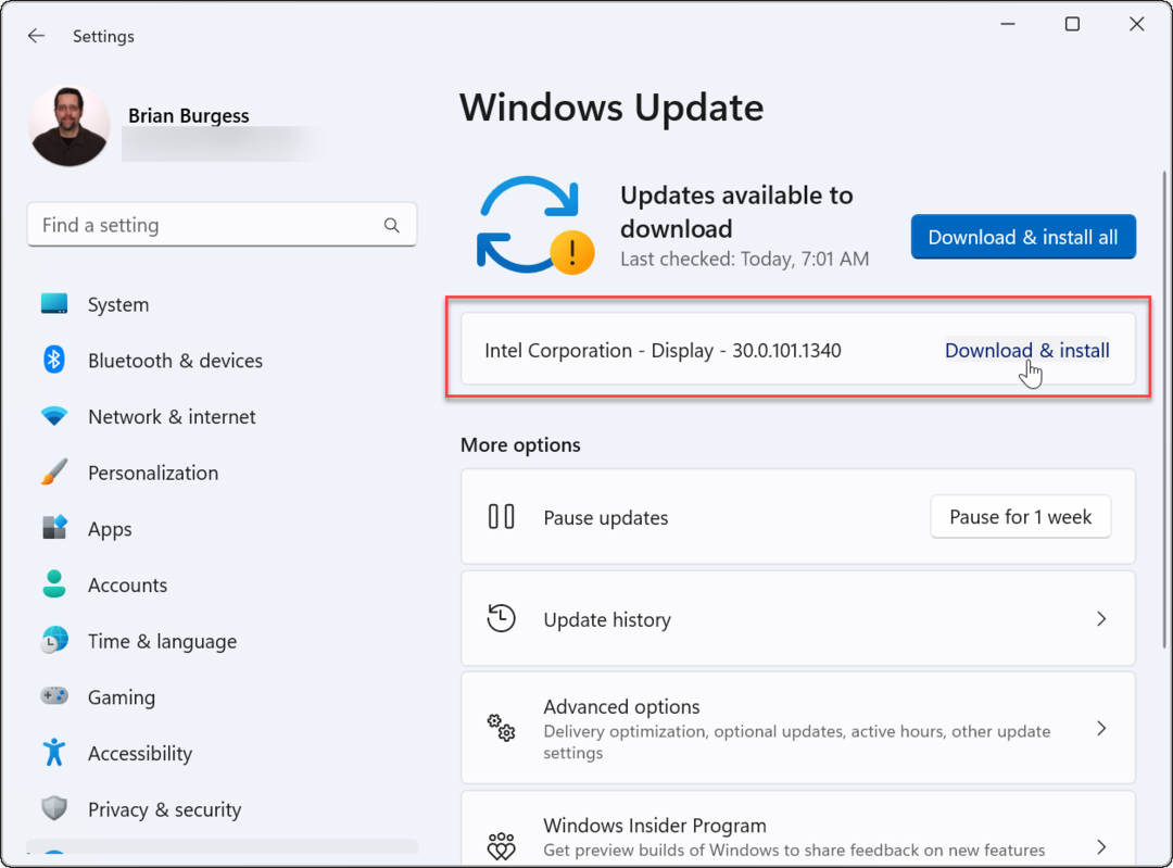 Gonilnik Windows Update