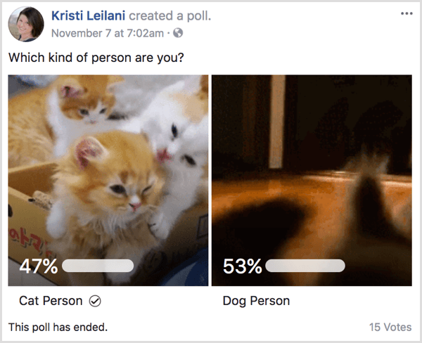 Rezultati ankete o gifu na Facebooku