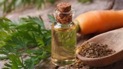 3 rastlinske olje zdravilne opekline
