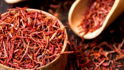 Kakšne so prednosti žafranovega cveta? Pri katerih boleznih je žafran dober? Kako se izdeluje čaj žafrana?