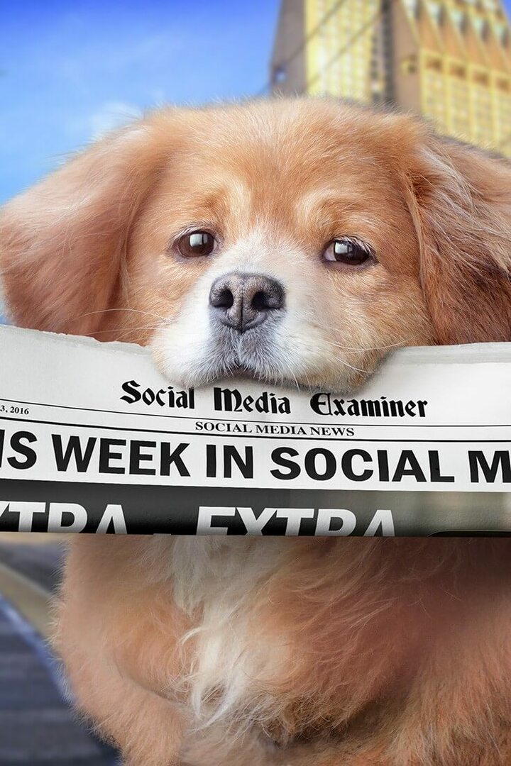 Facebook Live uvaja ciljanje na občinstvo: Ta teden v družabnih medijih: Izpraševalec socialnih medijev