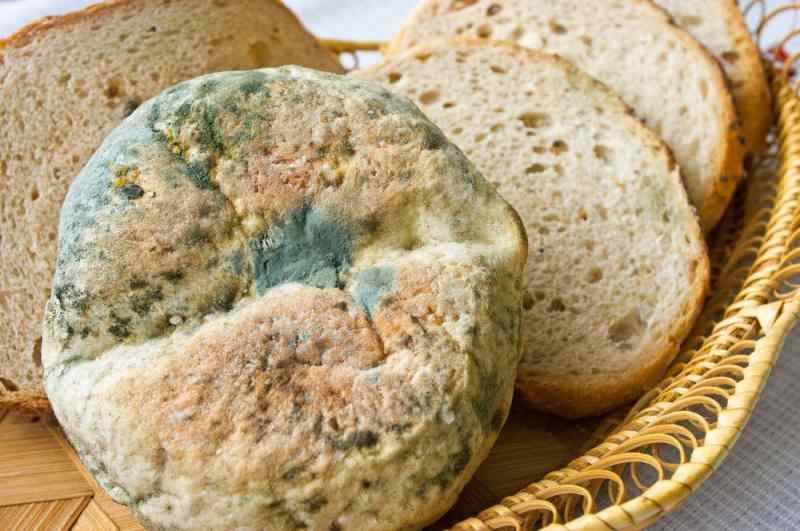 Načini, kako preprečiti, da kruh postane zastarel in plesniv