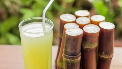 Kakšne so prednosti sladkornega trsa? Kaj počne sok iz sladkornega trsa?
