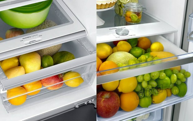 Kateri je najboljši model hladilnika? 2019 modeli hladilnikov