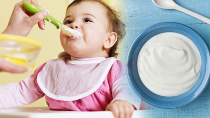 Kako narediti jogurt za dojenčke? Recepti za domači sadni jogurt za dojenčke