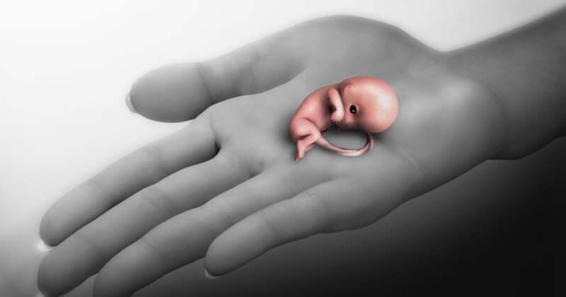 Kaj je splav? Simptomi splava med nosečnostjo