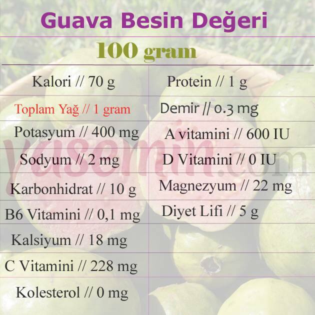 prehranska vrednost guave
