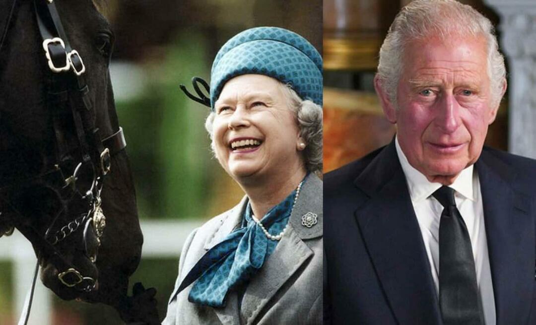 Kralj III. Kraljica Charles II Nespoštovanje do Elizabetine dediščine! Zmagovalec bo konje prodal